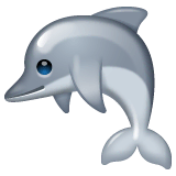 Dolphin Emoji on WhatsApp