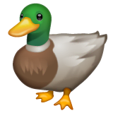 Duck Emoji on WhatsApp