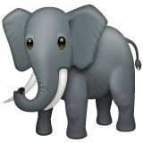 🐘 Elephant Emoji on WhatsApp