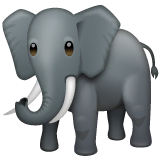 elephant Emoji whatsapp