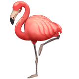 Flamingo Emoji on WhatsApp