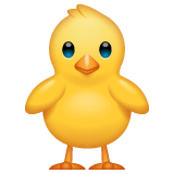Front-Facing Baby Chick Emoji on WhatsApp