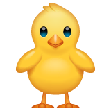 front-facing-baby-chick Emoji whatsapp
