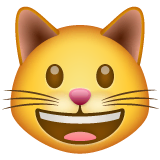 grinning-cat Emoji whatsapp