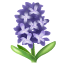 hyacinth Emoji whatsapp