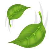 Leaf Fluttering in Wind Emoji on WhatsApp