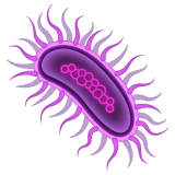 Микроб on WhatsApp