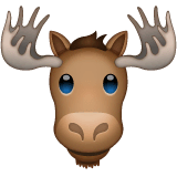 Лось on WhatsApp