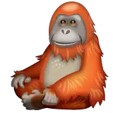 Орангутан on WhatsApp