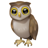 owl Emoji whatsapp