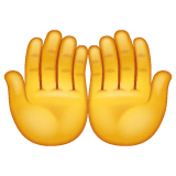 palms-up-together Emoji whatsapp