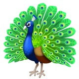 peacock Emoji whatsapp