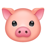 Pig Face Emoji on WhatsApp