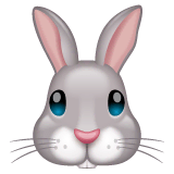 🐰 Rabbit Face Emoji on WhatsApp