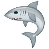 🦈 Shark Emoji on WhatsApp
