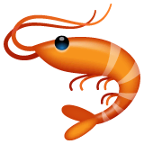 Camarão on WhatsApp