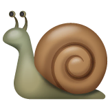 snail Emoji whatsapp