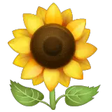 Sunflower Emoji on WhatsApp