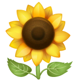 sunflower Emoji whatsapp