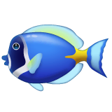 🐠 Tropical Fish Emoji on WhatsApp