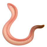 worm Emoji whatsapp