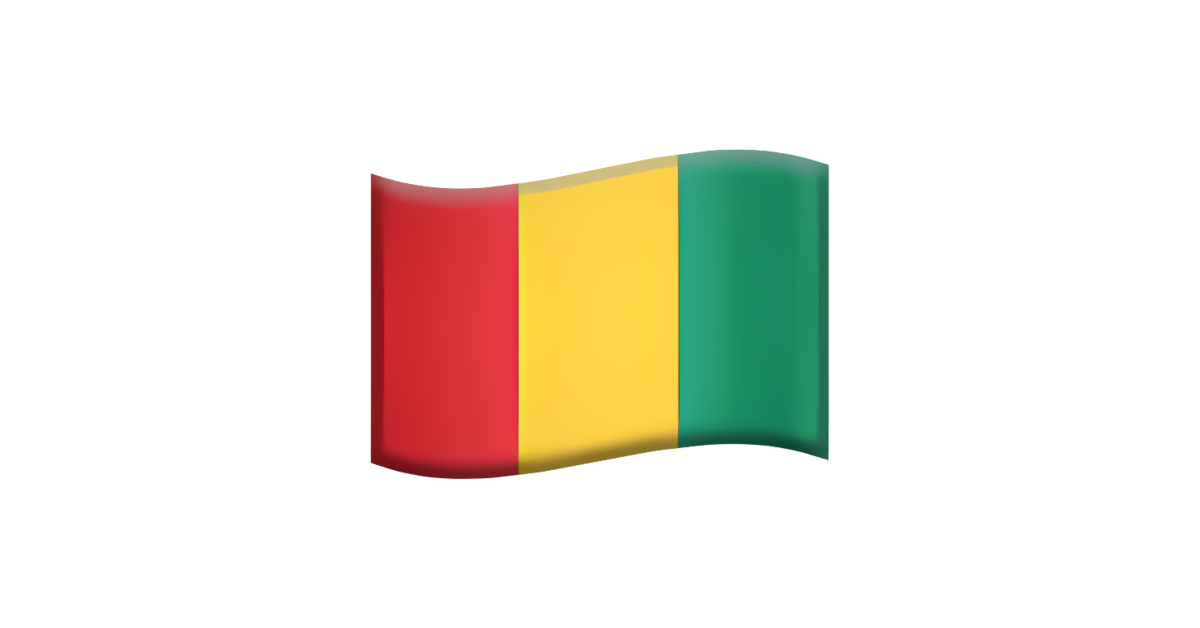  🇬🇳 Guinée