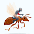 Flying Ant Skype