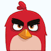 Angry Bird Skype