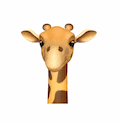 🦒 Giraffe Animoji